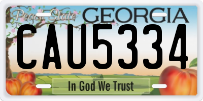 GA license plate CAU5334