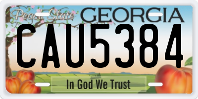 GA license plate CAU5384