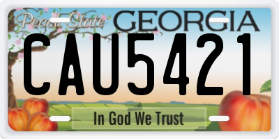 GA license plate CAU5421