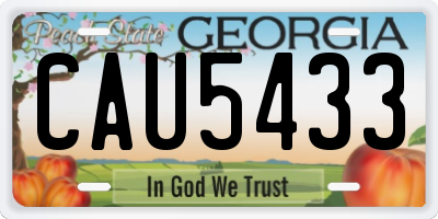 GA license plate CAU5433