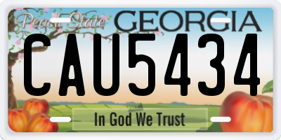 GA license plate CAU5434