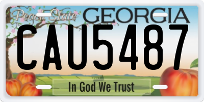GA license plate CAU5487