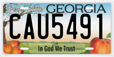 GA license plate CAU5491