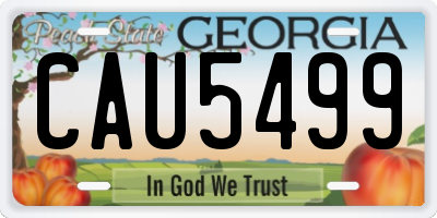 GA license plate CAU5499