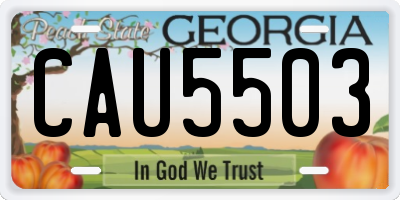 GA license plate CAU5503
