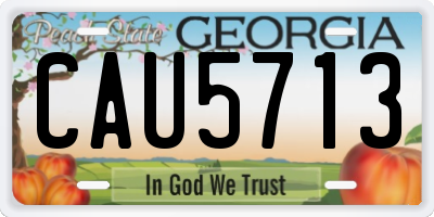 GA license plate CAU5713