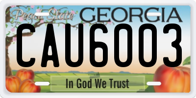 GA license plate CAU6003