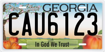 GA license plate CAU6123