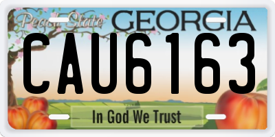 GA license plate CAU6163