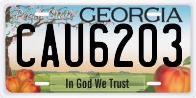 GA license plate CAU6203