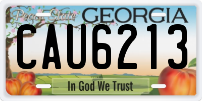 GA license plate CAU6213