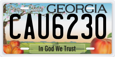 GA license plate CAU6230