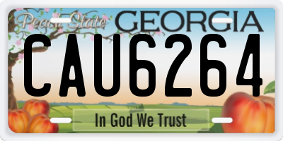 GA license plate CAU6264