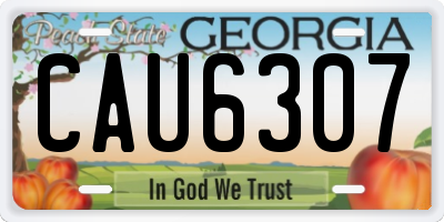 GA license plate CAU6307