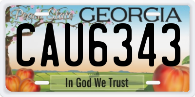 GA license plate CAU6343