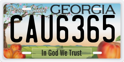 GA license plate CAU6365