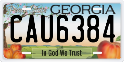 GA license plate CAU6384