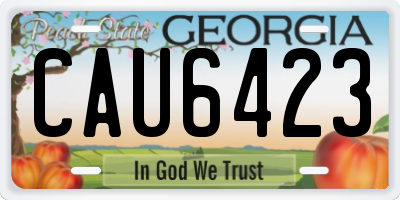GA license plate CAU6423