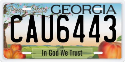 GA license plate CAU6443