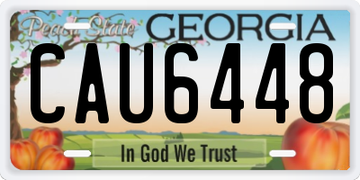 GA license plate CAU6448