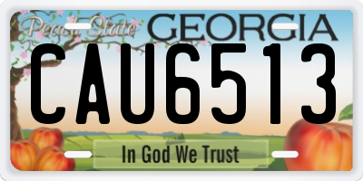 GA license plate CAU6513
