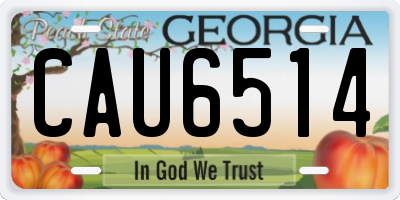 GA license plate CAU6514