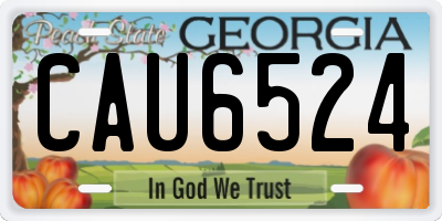 GA license plate CAU6524