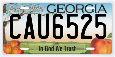 GA license plate CAU6525