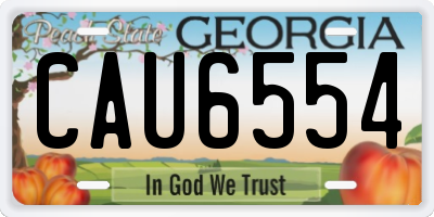 GA license plate CAU6554