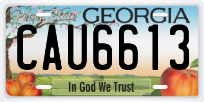 GA license plate CAU6613