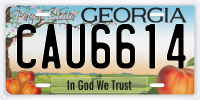 GA license plate CAU6614