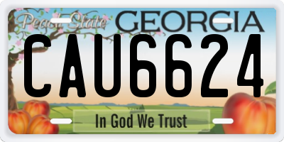 GA license plate CAU6624