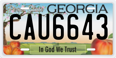 GA license plate CAU6643