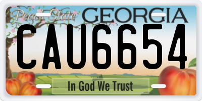 GA license plate CAU6654