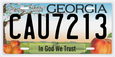 GA license plate CAU7213