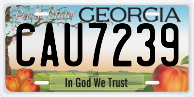GA license plate CAU7239