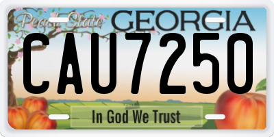 GA license plate CAU7250