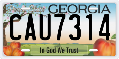 GA license plate CAU7314