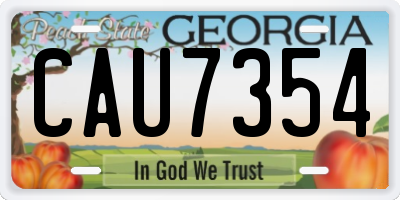 GA license plate CAU7354