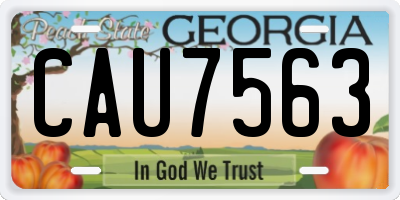 GA license plate CAU7563