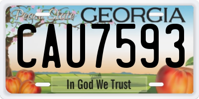 GA license plate CAU7593
