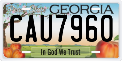 GA license plate CAU7960