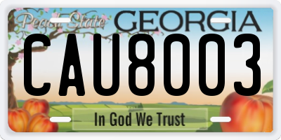 GA license plate CAU8003