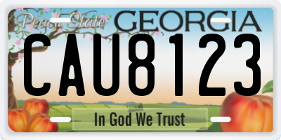 GA license plate CAU8123
