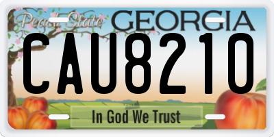 GA license plate CAU8210