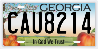 GA license plate CAU8214