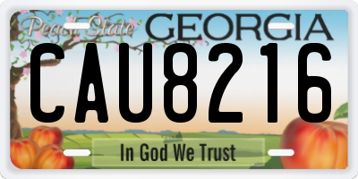 GA license plate CAU8216