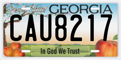 GA license plate CAU8217