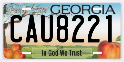 GA license plate CAU8221