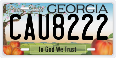 GA license plate CAU8222